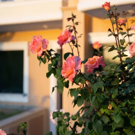 Holiday home Bianca Maisonette - Panoramic Golden View